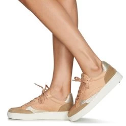 Pataugas Basalt -Pataugas 21256790 500 H